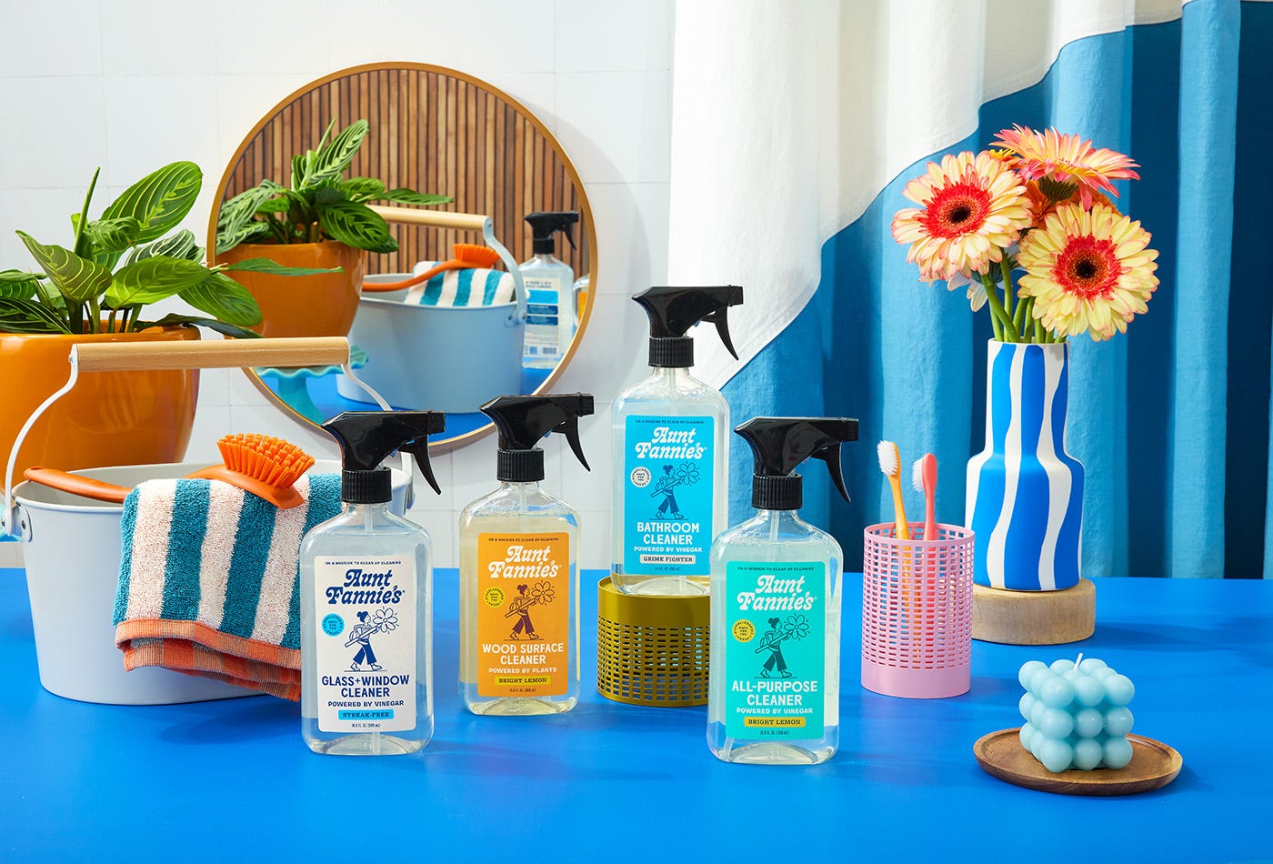 Aunt Fannie's cleaners on a blue counter.