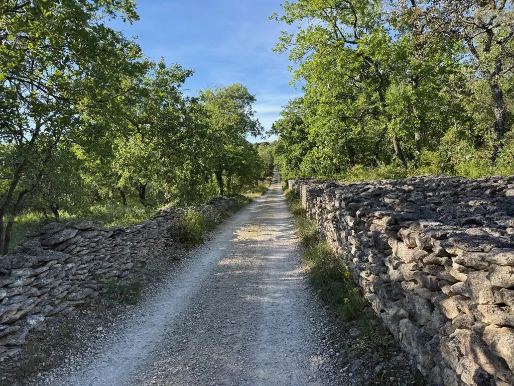 Chemin dans le Lubéron