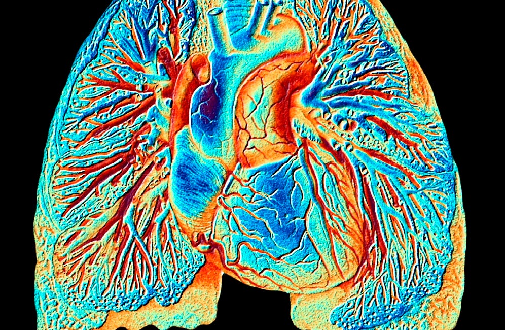 More Lung Learnings
