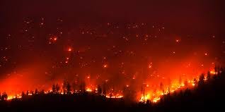 気候危機はいかにして人を破滅に導くのか──専門家100人超がまとめた警鐘を鳴らす9つの図表 | WIRED.jp