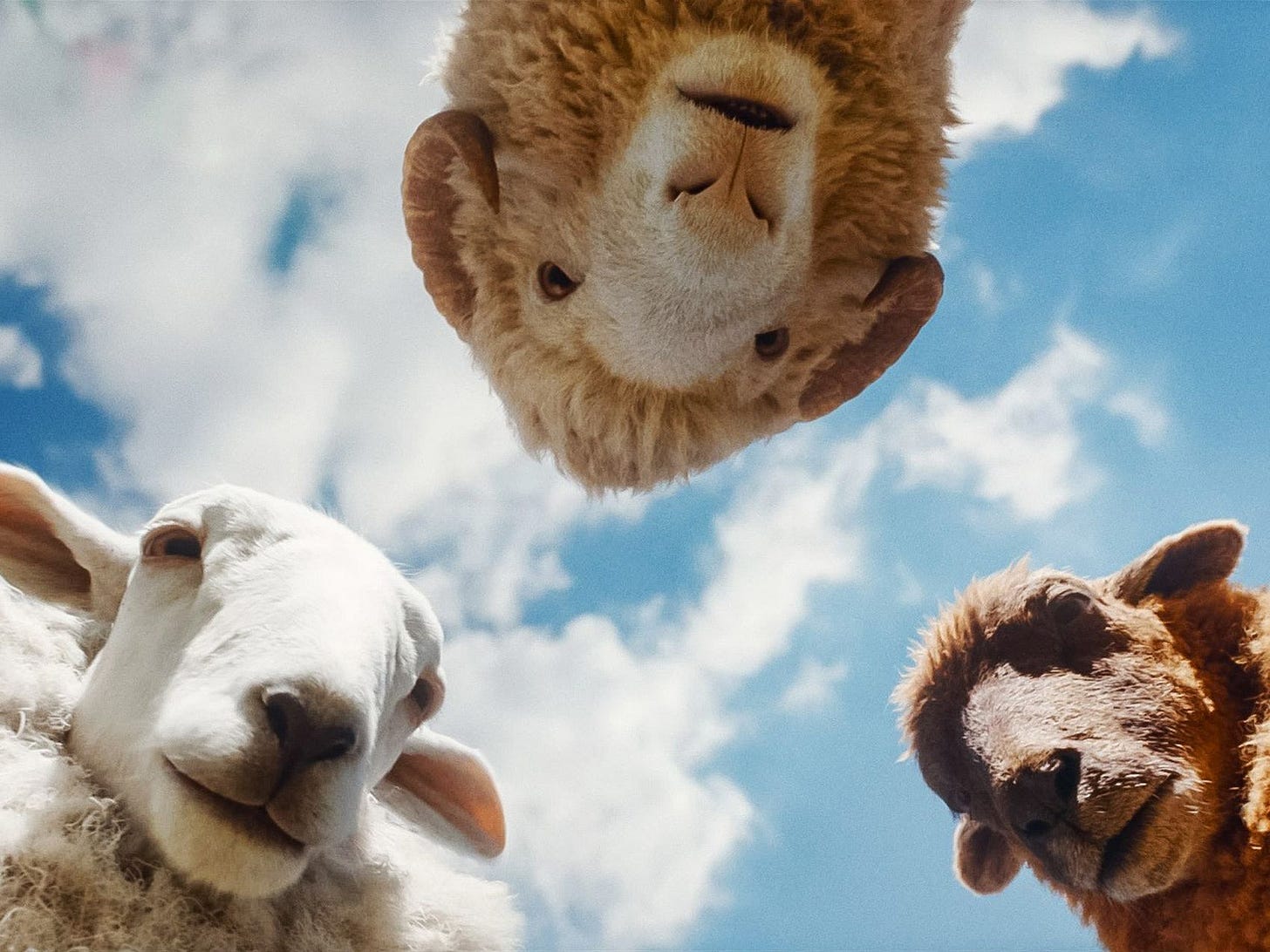 What “The Sheep Detectives” Doesn't Understand About Sheep | The New Yorker