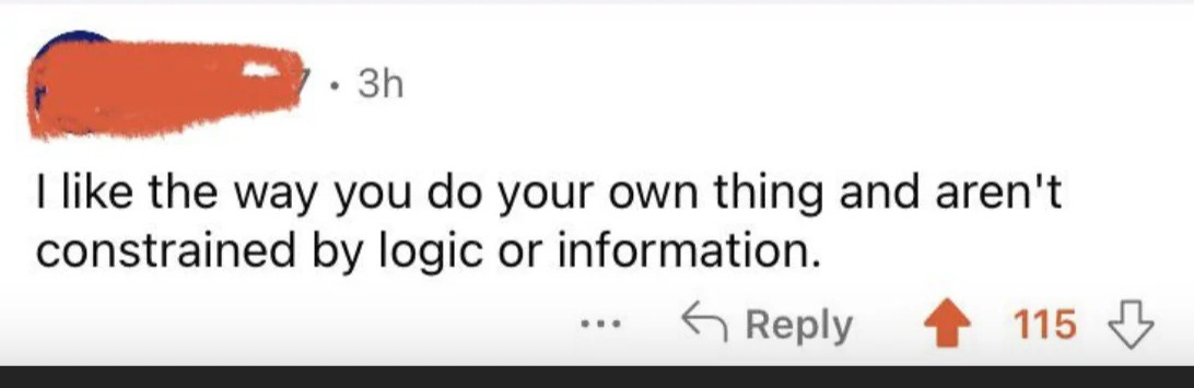 social media post with 115 likes that says "I like the way you do your own thing and aren't constrained by facts or information"
