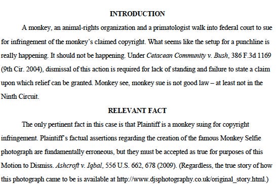 Trecho da petição apresentada no caso “Monkey Selfie Lawsuit”, com abertura irônica que diz: “A monkey, an animal-rights organization and a primatologist walk into federal court…” O documento argumenta que a ação deve ser rejeitada por falta de legitimidade do macaco para processar por direitos autorais.