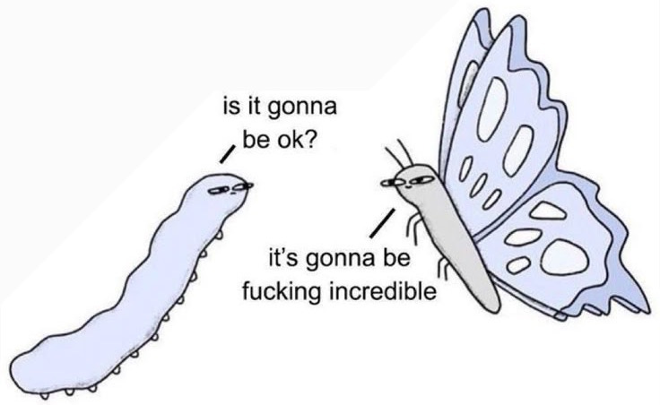This may contain: a butterfly that is looking at a worm