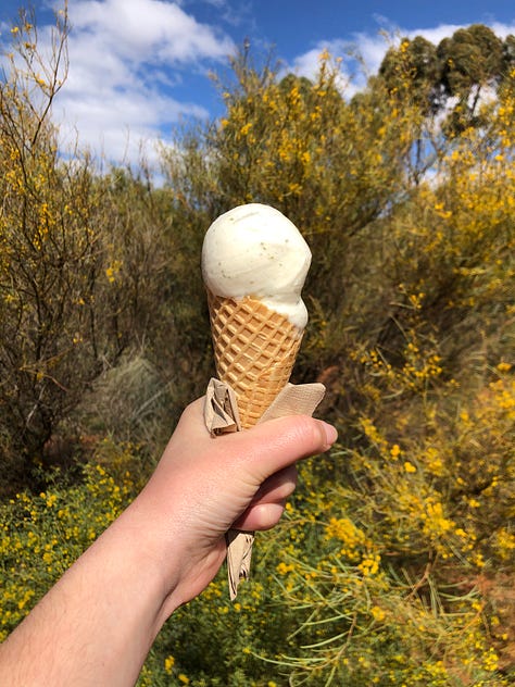 Golden trees, sunny days, bright blue water and lemon myrtle icecream!