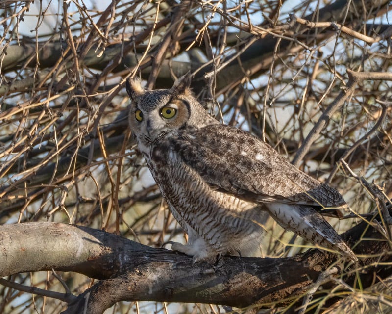 20250219-ManvilleFarm-429-Edit.jpg 20250219-ManvilleFarm-429-Edit.jpg