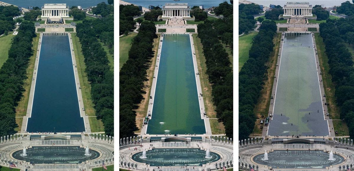 Trump’s bungled pool project gets vicious review from DC residents: 'Feel for the ducks' Trump’s bungled pool project gets vicious review from DC residents: 'Feel for the ducks'