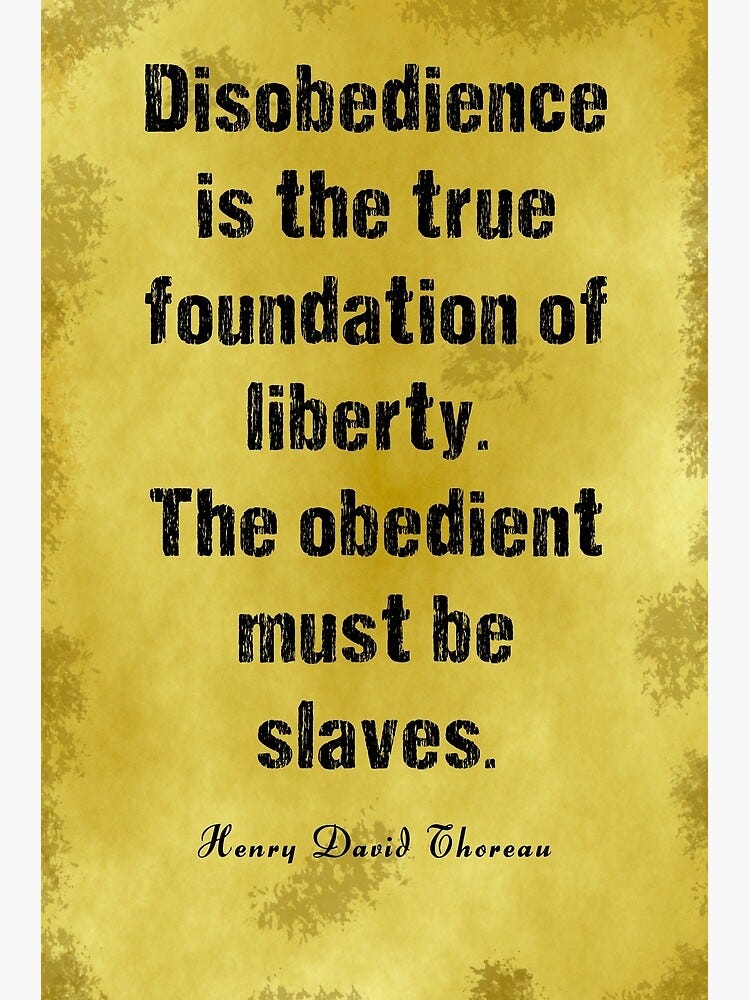Thoreau Quote Poster