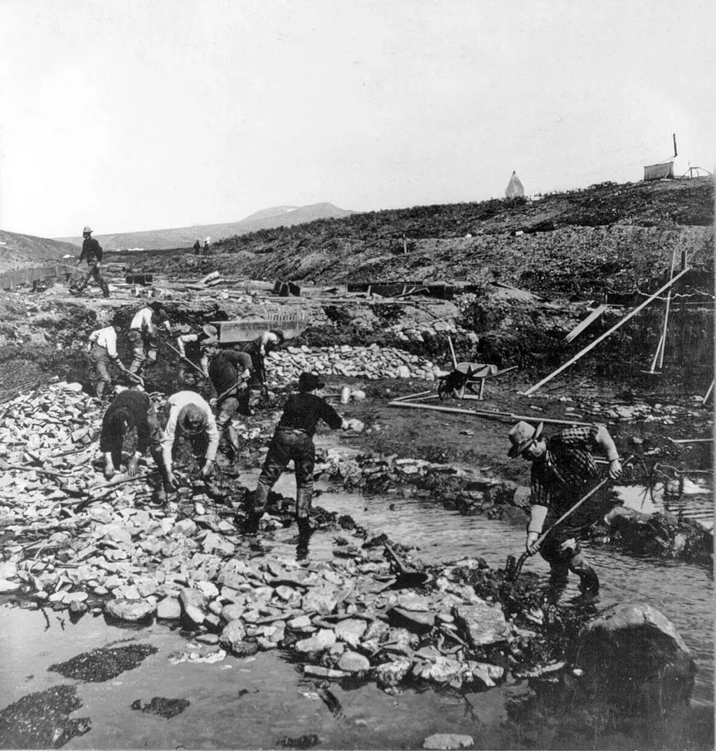 Prospectors look for gold in Anvil Creek, located in in Nome, Alaska in 1902.