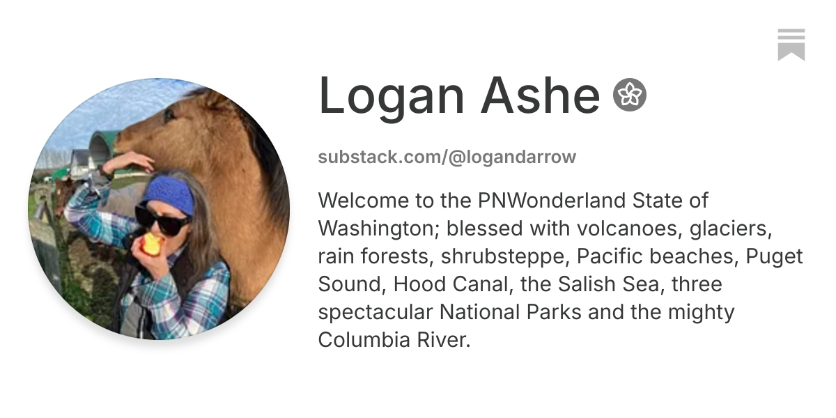 Logan Ashe Darrow | Substack