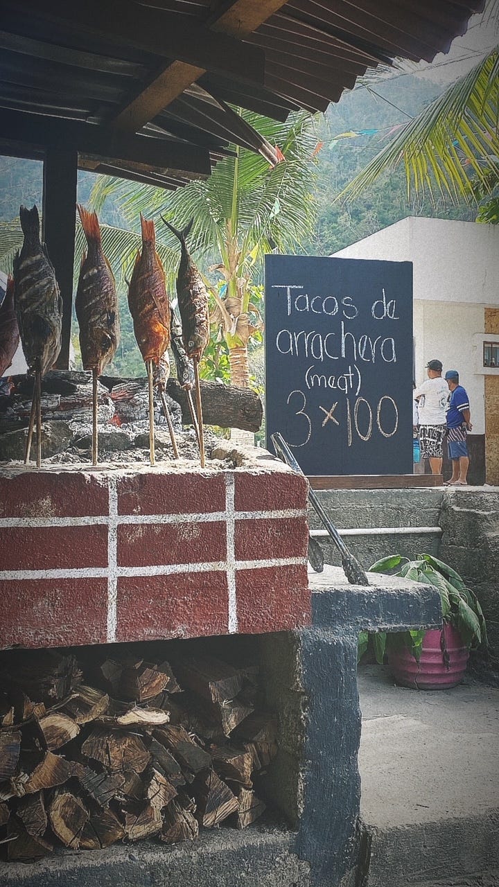 Spiked fish grill over and open fire in Bocas de Tomatlan. Chargrilled elote and crispy chicaron tacos wait to be devoured amonhst sweeping views at Vallarta Botanical Gardens.
