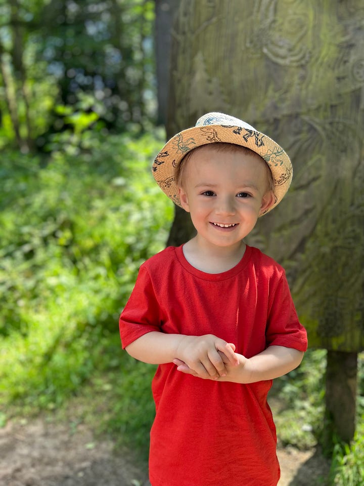 a little boy posing for the camera in photo 1 with the trunks of trees behind him. In photo 2 he is blowing a dandelion flowers and the seeds are flying through the air. Images: Roland's Travels