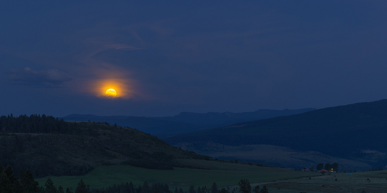 Photographing Lady's Slippers In The Glow Of A Strawberry Moon