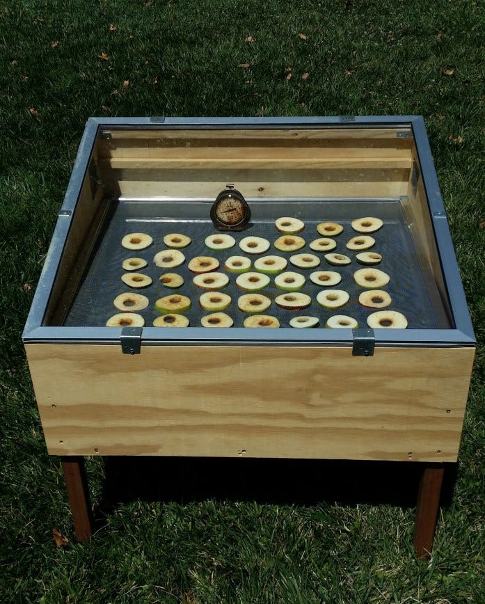 apples in dehyrator
