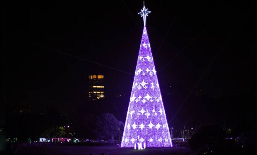 Fotografia da árvore de Natal do parque Ibirapuera a noite, decorada e iluminada totalmente na cor roxa e com a marca do Nubank em sua base.