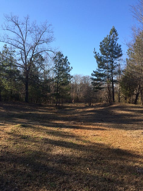 Scenes from a childhood. From left, the old swing at Uncle Henry's place, the hill where I imagined setting my house, and the falling-down barns at grandfather's place. That old dream is still distant. But the land is extraordinarily lovely, proof that it was well loved.