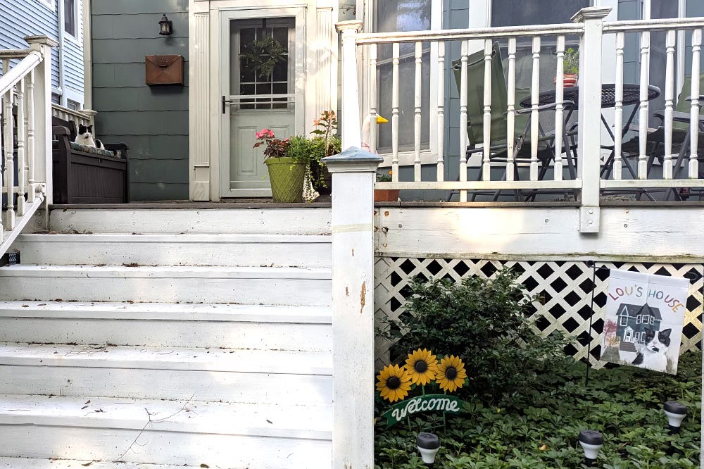 A black and white cat sits on a bench on a stoop. The yard has a small flag that says Lou’s House on it with an illustration of said black and white cat. A black and white cat sits on a bench on a stoop. The yard has a small flag that says Lou’s House on it with an illustration of said black and white cat.