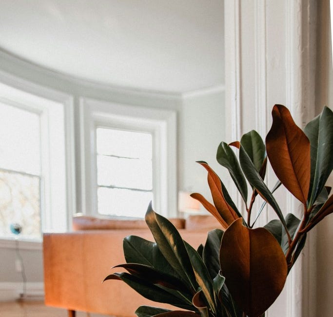 30-Day Autumn Cleaning and Decluttering Challenge