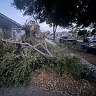 If a tree falls in your front yard...