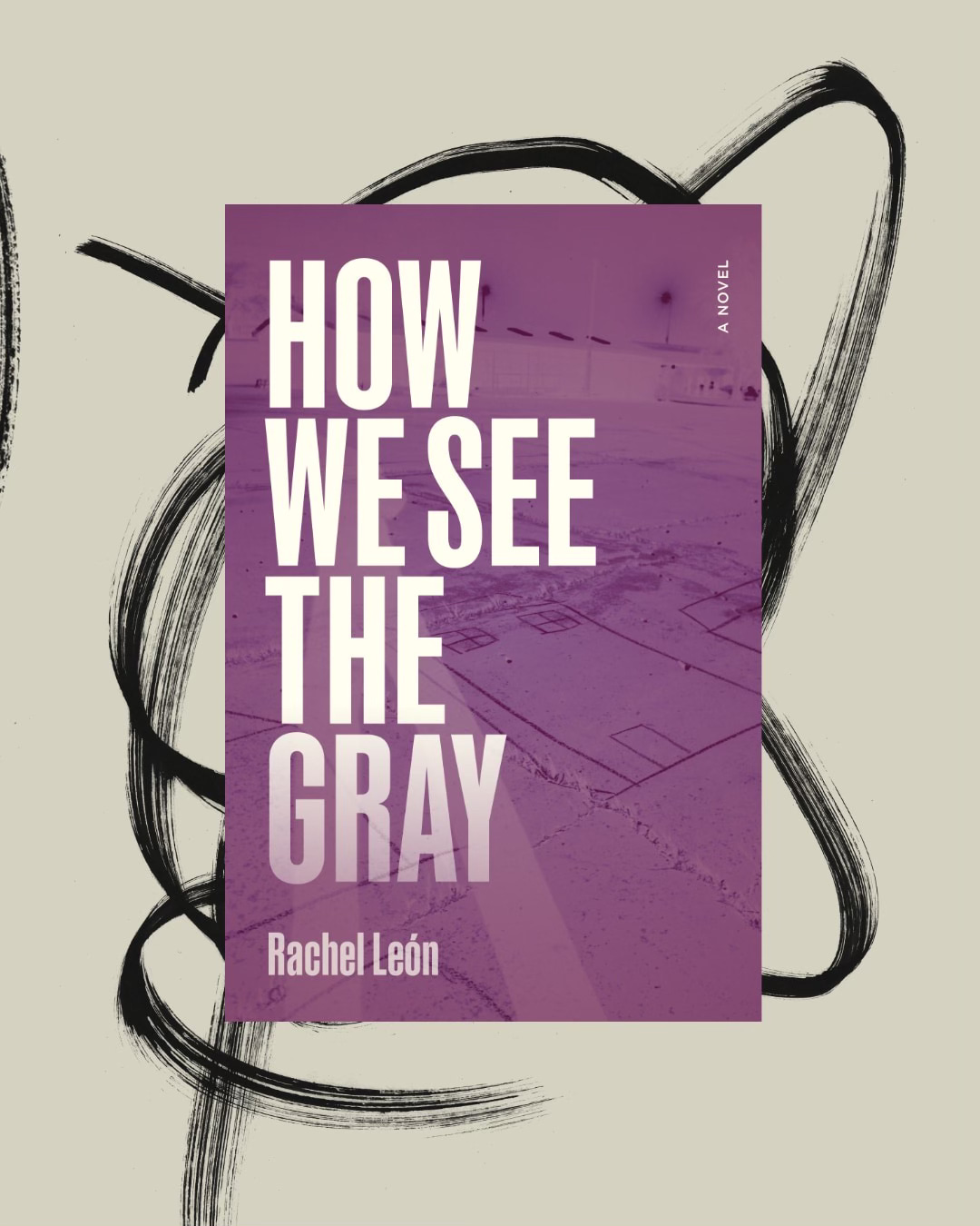 cover of HOW WE SEE THE GRAY over black and white drawing