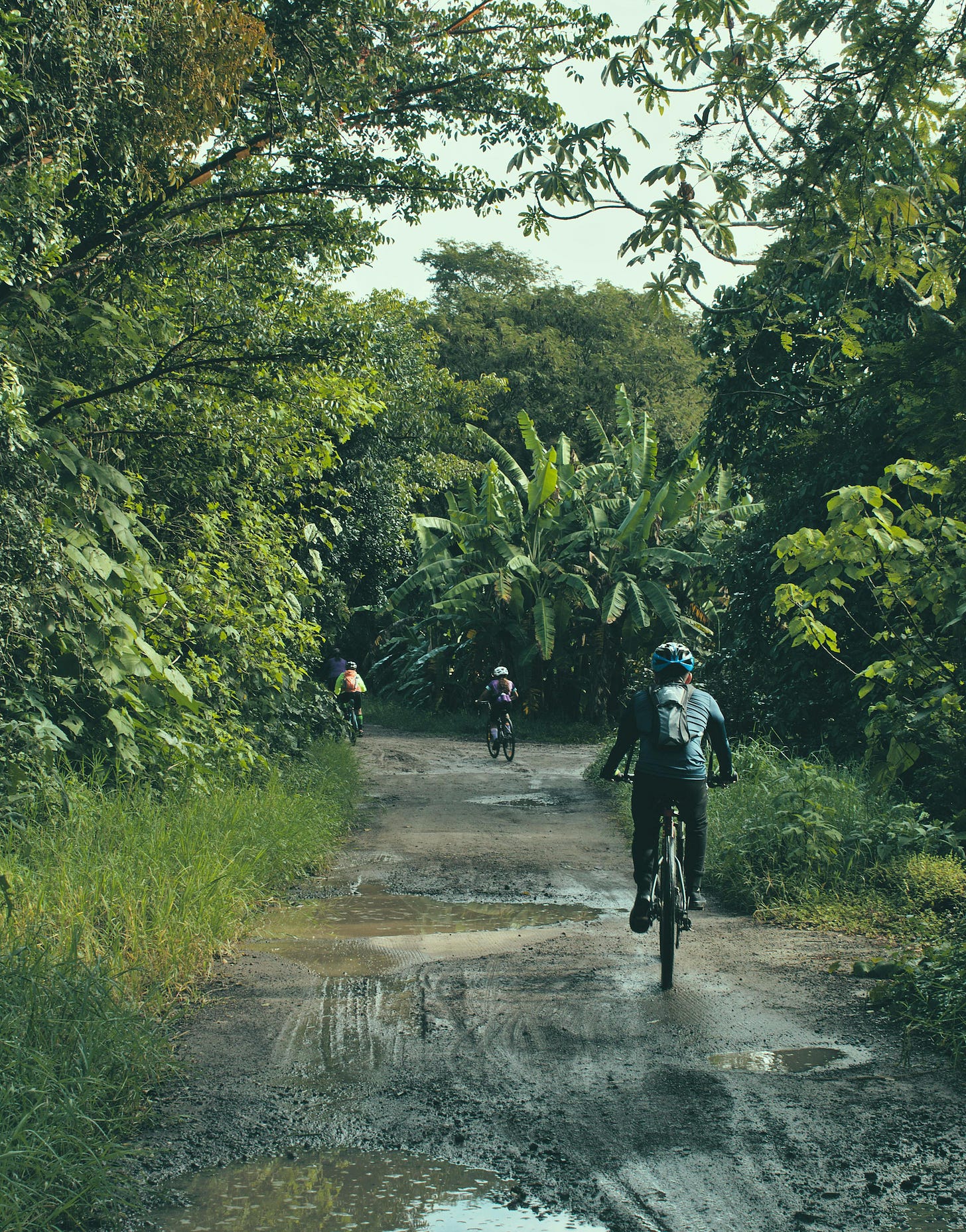 A close-up or action shot of a cyclist with a mountain bike navigating a winding, possibly unpaved path through dense forest or plantation land, capturing the cool, misty atmosphere and green hills of the north.
