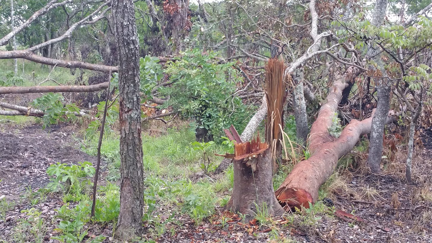 No photo description available.