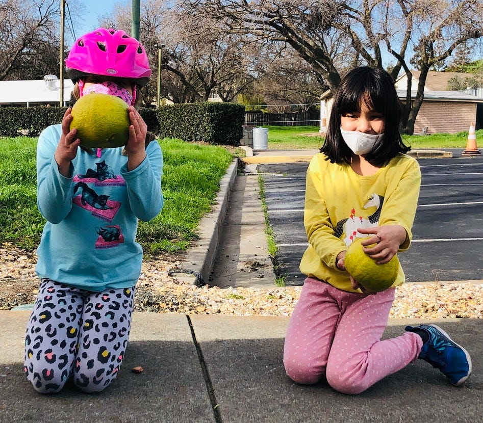Two girls holding two very large lemons