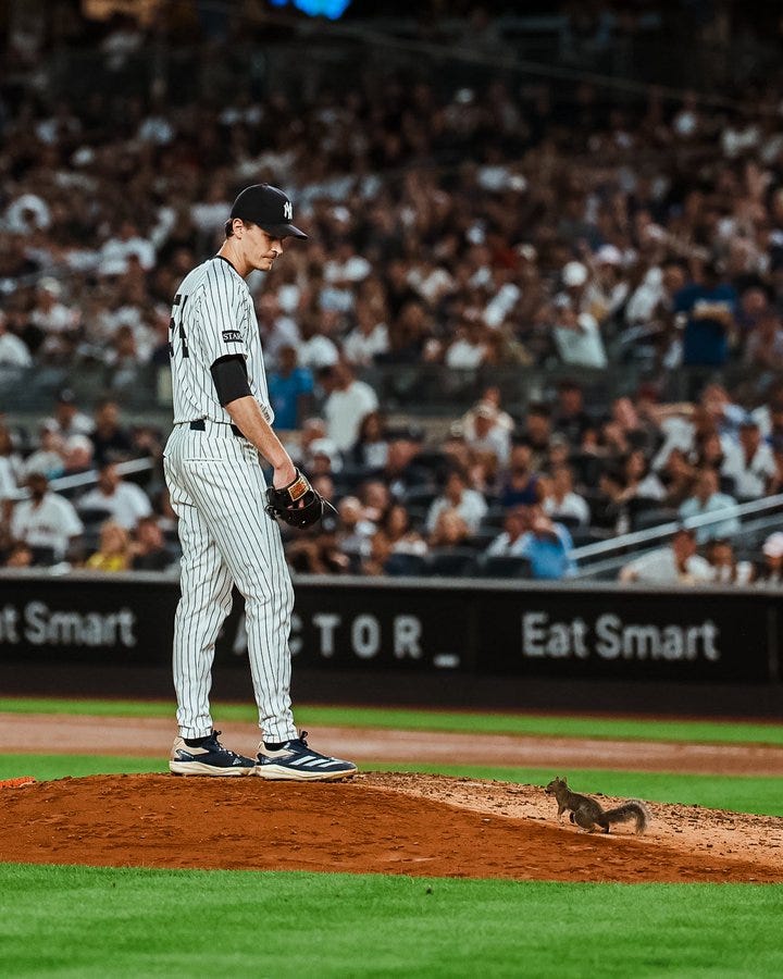 Max Fried and a squirrel lock eyes on the mound
