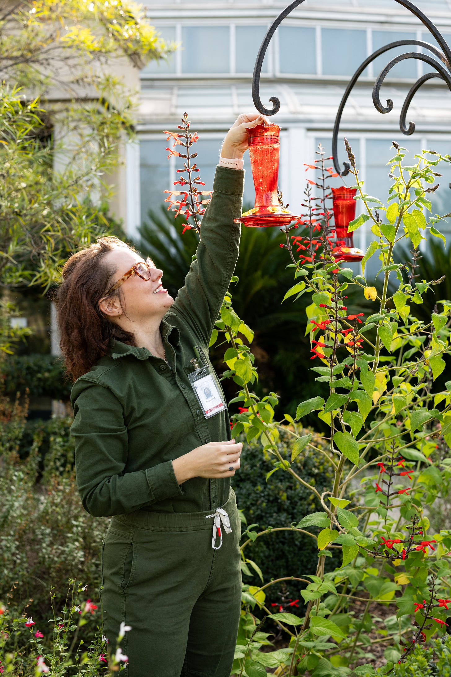 Cole Imperi Hummingbirds at the Huntington by Max Tepper/The Huntington
