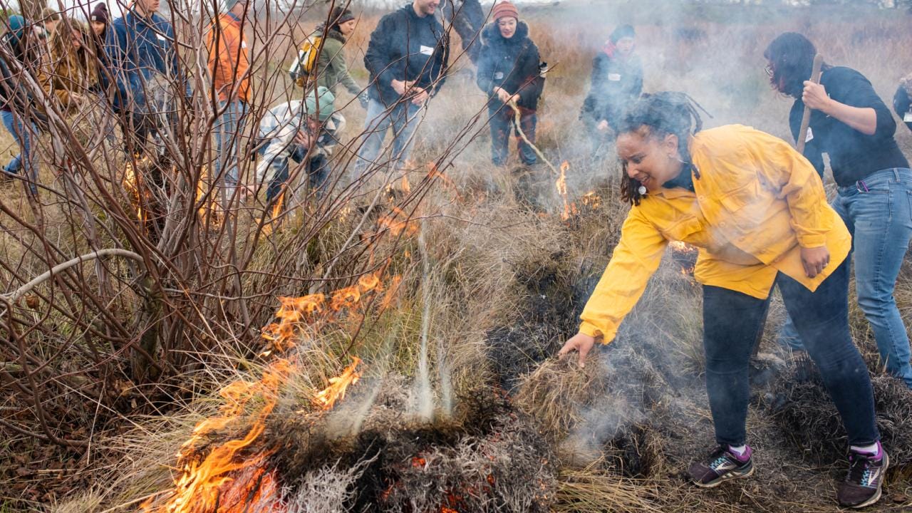 How Indigenous Practices Can Help Forests Thrive | UC Davis How Indigenous Practices Can Help Forests Thrive | UC Davis