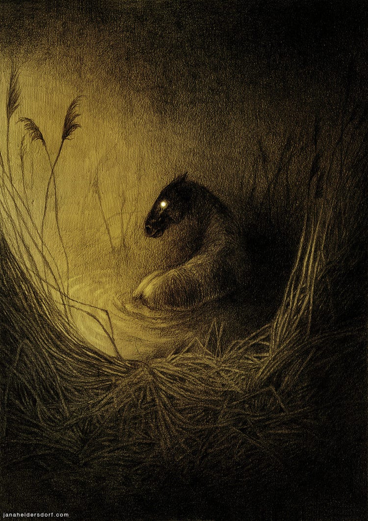 kelpie by jana heidersdorf