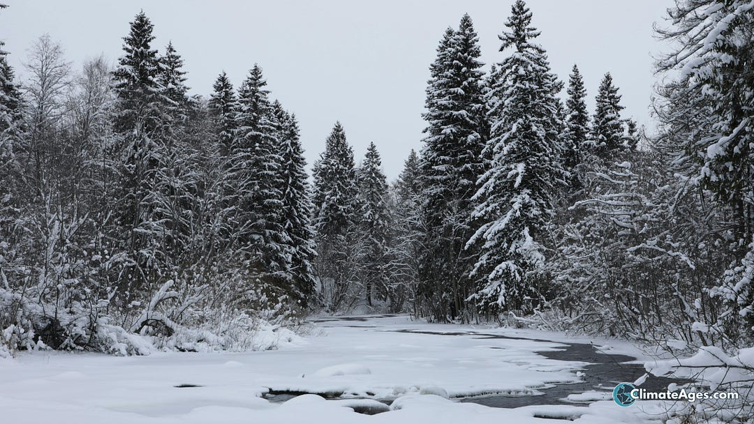 Snow-covered conifer forest surrounding a partially frozen river or stream during winter under an overcast gray sky. Tall evergreen trees heavily coated in snow line both sides of the waterway, while snow blankets the ground and ice covers much of the river surface. A small ClimateAges.com watermark appears in the bottom right corner