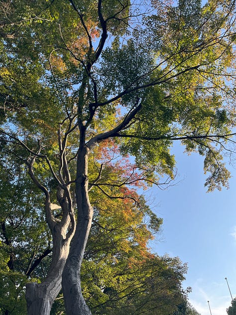 6 photos of Suma Rikyu Koen, a park and botanical garden built on the site of a former imperial villa