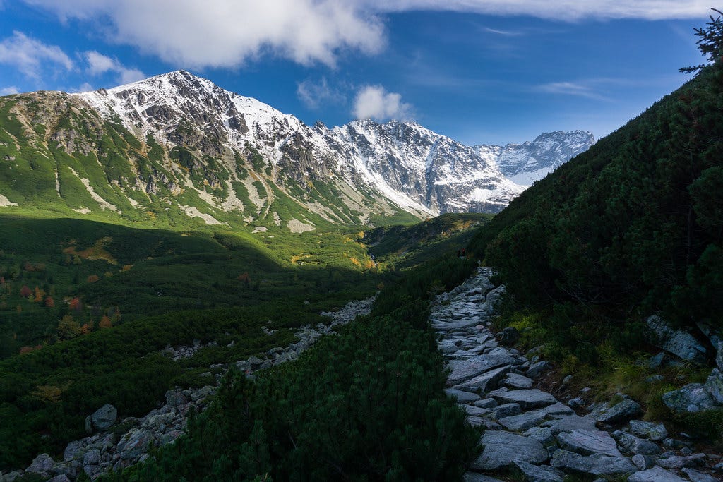 A stone path leading through shadows to a bright, snow capped mountain. "mountain" by barnyz is licensed under CC BY-NC-ND 2.0. 
