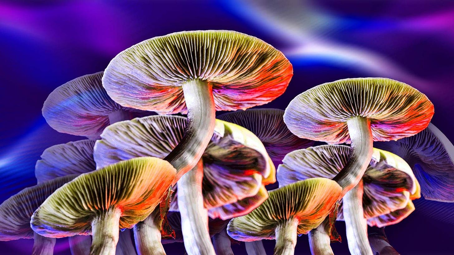 Magic mushrooms effective for treating depression - study | UK News | Sky  News Magic mushrooms effective for treating depression - study | UK News | Sky  News