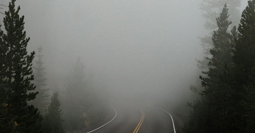 empty road surrounded with trees with fog empty road surrounded with trees with fog