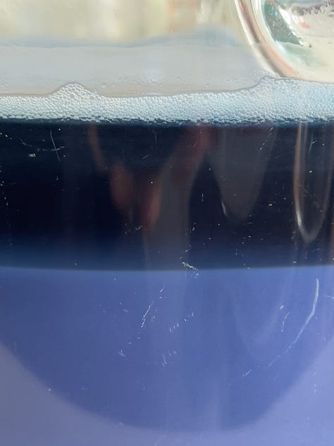 making pigment from red cabbage