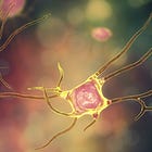 How Exercise Helps New Brain Cells Grow