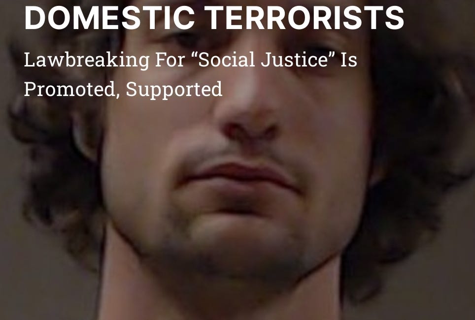 ATTORNEYS AS DOMESTIC TERRORISTS
