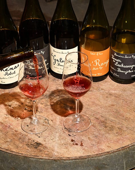 beaujolais gamay glou glou