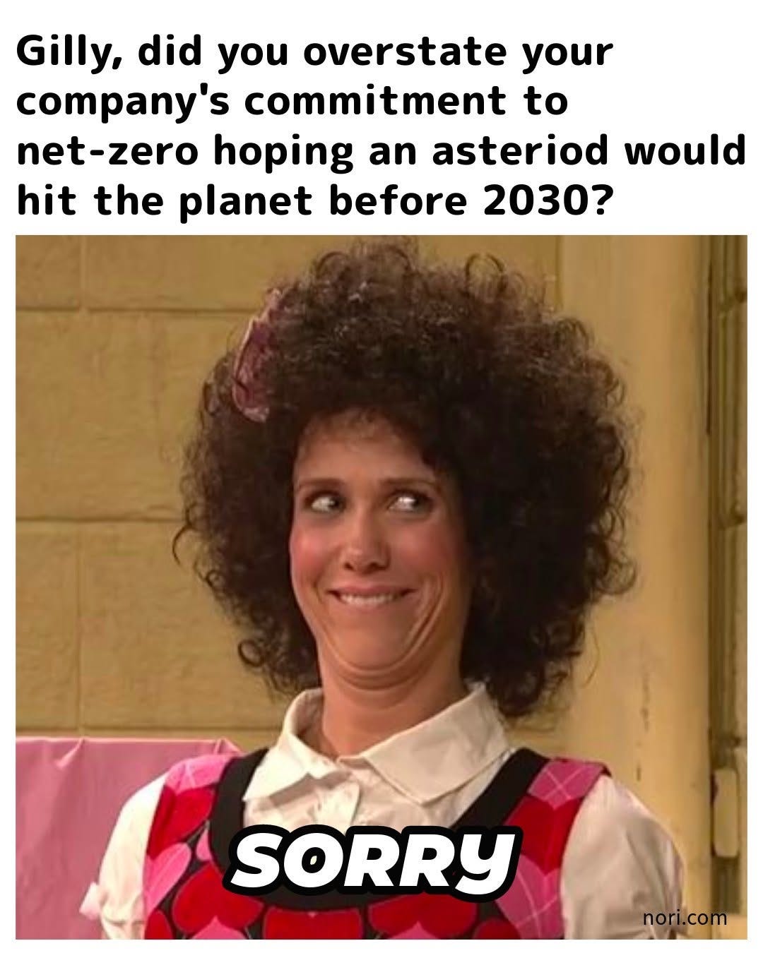 Kristen Wiig as Gilly from Saturday Night Live grinning sheepishly, under the text "Gilly, did you overstate your company's commitment to net-zero hoping an asteroid would hit the planet before 2030?". Caption: "SORRY".