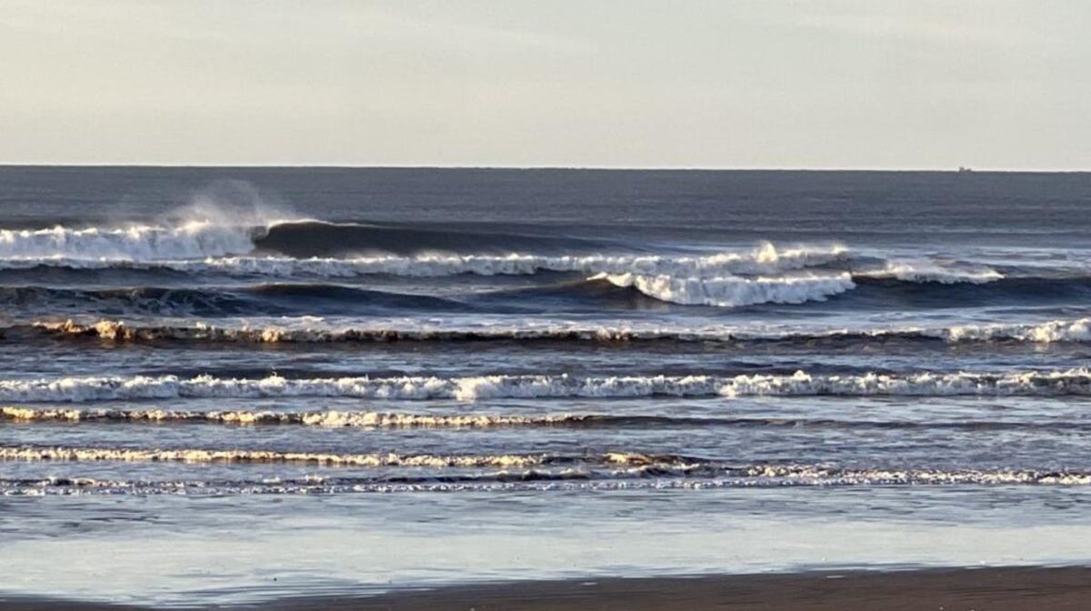 Este invierno fue notablemente superior al anterior” - DUKE