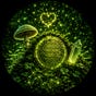 1susannetrillonius's avatar