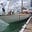 Always Afloat's avatar