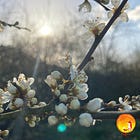 Happy New (Astronomical) Year, new moon in Aries and the Spring Equinox!