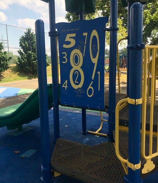 Playground equipment at the Lincoln Place park.