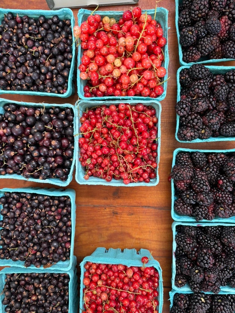 Brimere farms berries secrets of the north fork
