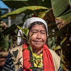 Los guardianes del bosque bajo amenaza