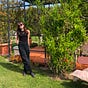 Jacqueline's avatar
