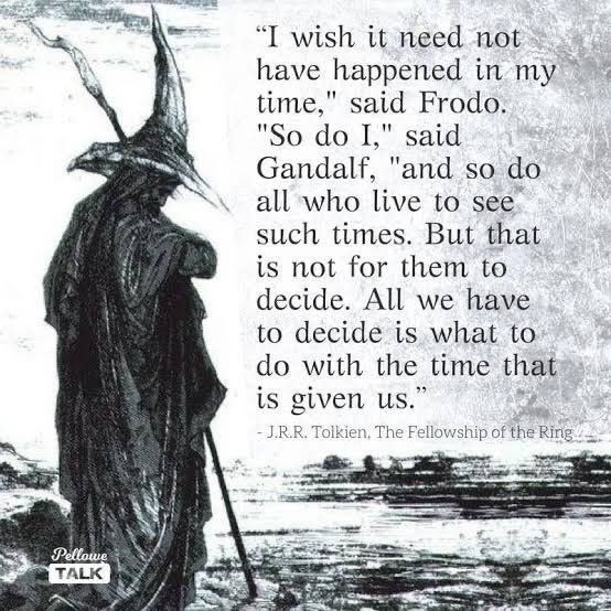 This quote was extremely profound to me this year. Thank you Gandalf for  your wisdom. : r/lotrmemes
